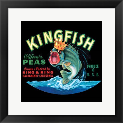 Framed Kingfish Print