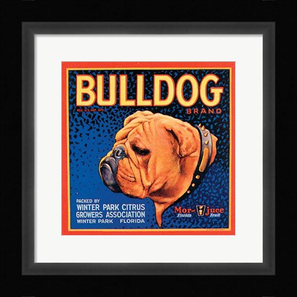 Framed Bull Dog Print