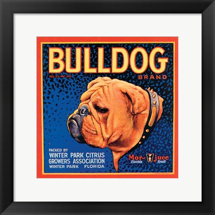 Framed Bull Dog Print