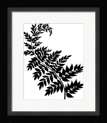 Framed Leaf Silhouette III Print