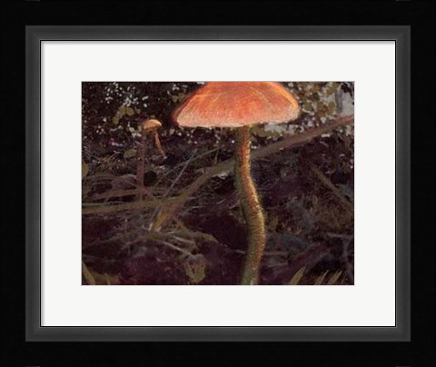 Framed Forest Floor I Print