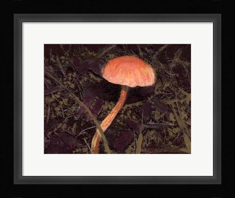 Framed Forest Floor III Print