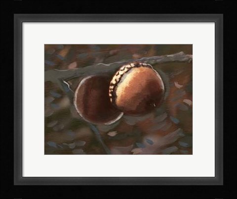 Framed Quercus Palustris I Print