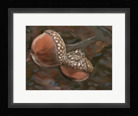 Framed Quercus Palustris II Print