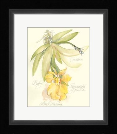 Framed Elissa's Garden III Print