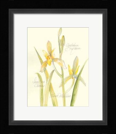 Framed Elissa's Garden IV Print