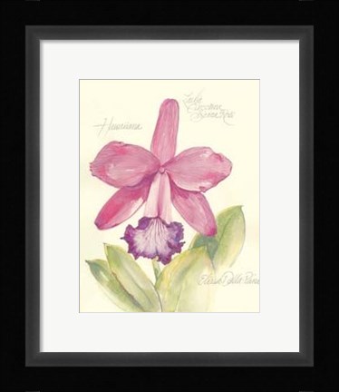 Framed Elissa's Garden V Print