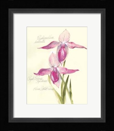 Framed Elissa's Garden VI Print