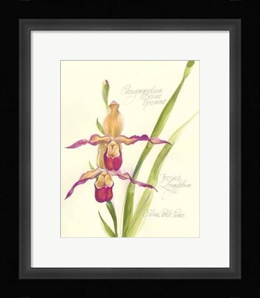 Framed Elissa's Garden VII Print