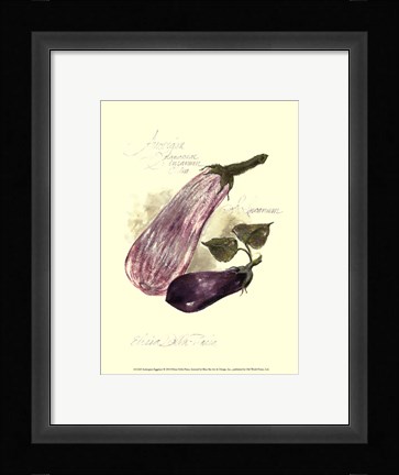 Framed Aubergine Eggplant Print