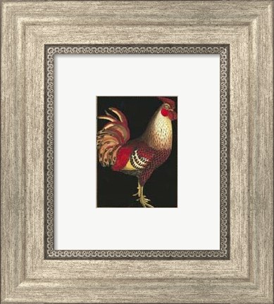 Framed Single Rooster (IP) I Print
