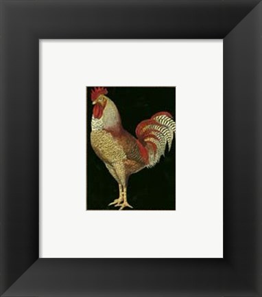 Framed Single Rooster (IP) II Print