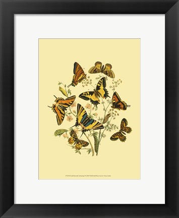 Framed Small Butterfly Gathering I Print