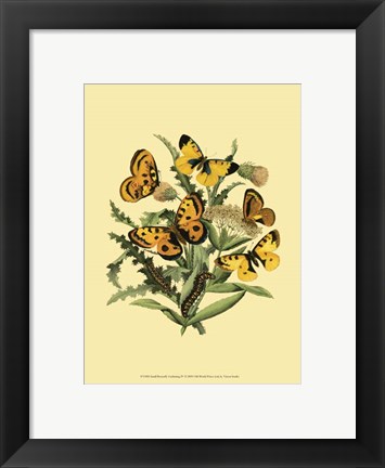 Framed Small Butterfly Gathering IV Print