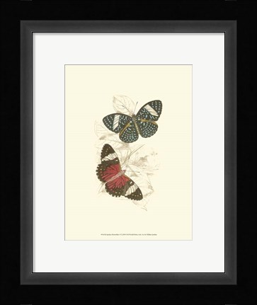Framed Butterflies I Print