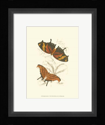 Framed Butterflies V Print