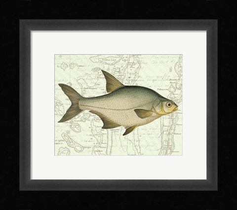 Framed Freshwater I Print