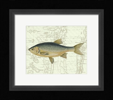 Framed Freshwater II Print