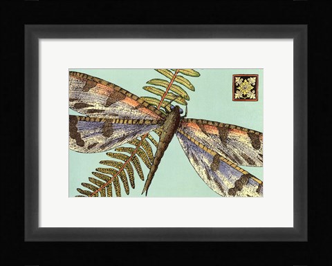 Framed Dragonfly on Aqua I Print