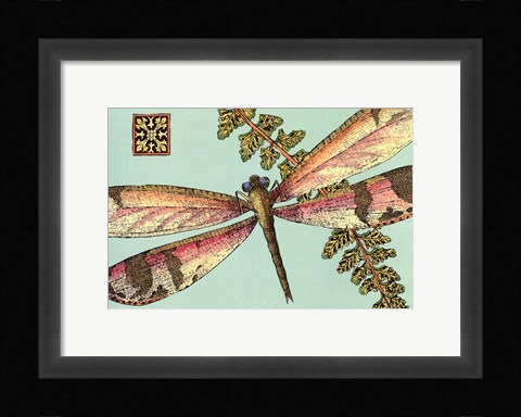 Framed Dragonfly on Aqua II Print