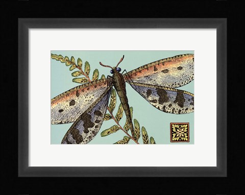 Framed Dragonfly on Aqua III Print