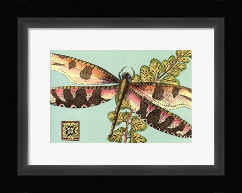 Framed Dragonfly on Aqua IV Print