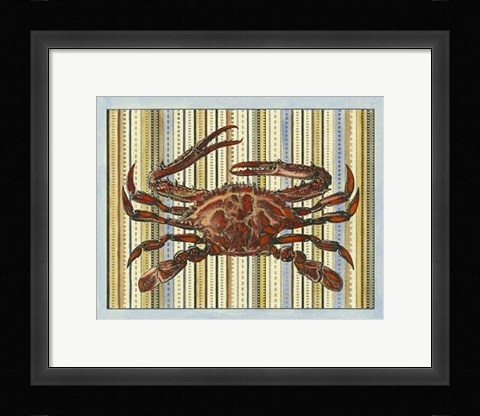 Framed Seashore Crab Print