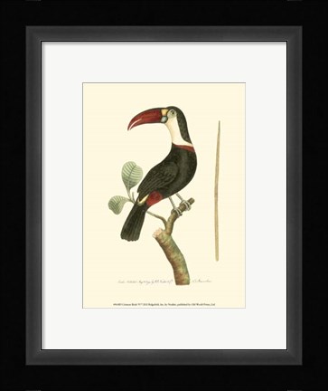 Framed Crimson Birds VI Print