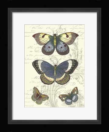 Framed Butterfly Delight I Print