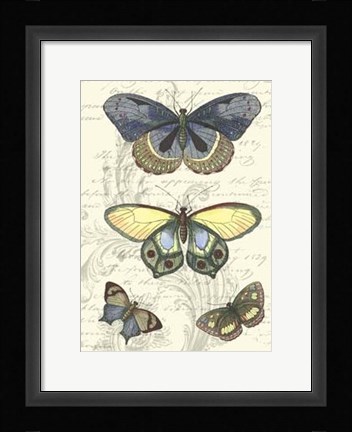Framed Butterfly Delight II Print