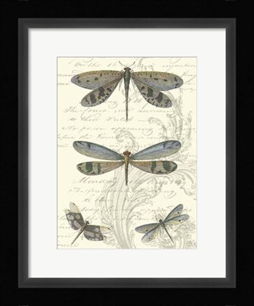 Framed Dragonfly Delight I Print