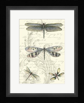 Framed Dragonfly Delight II Print