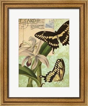 Framed Nature&#39;s Tapestry II Print