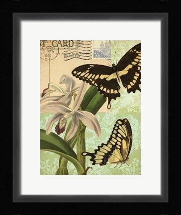 Framed Nature's Tapestry II Print