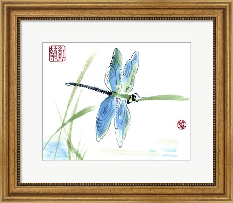 Framed Dragonfly Print