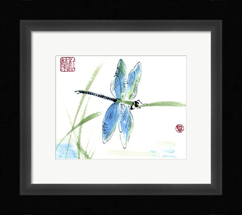 Framed Dragonfly Print