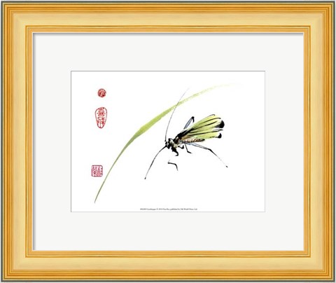 Framed Grasshopper Print