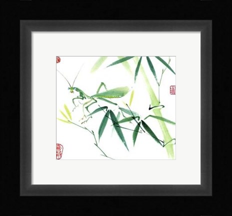 Framed Mantis Print