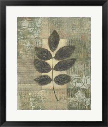 Framed Leaf Textures II Print
