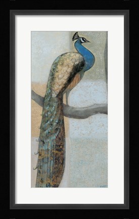 Framed Resting Peacock I Print