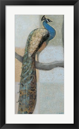 Framed Resting Peacock I Print