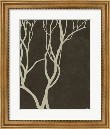 Framed Bare Tree II Print