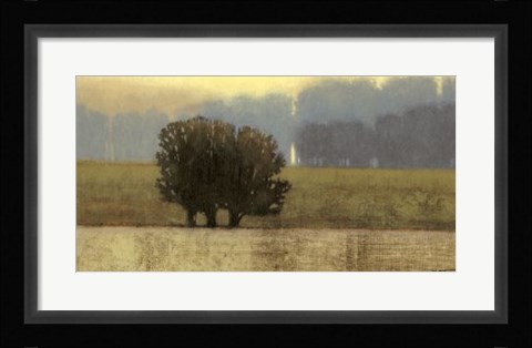 Framed Villa Park I Print