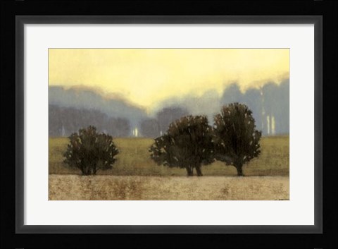 Framed Villa Park II Print