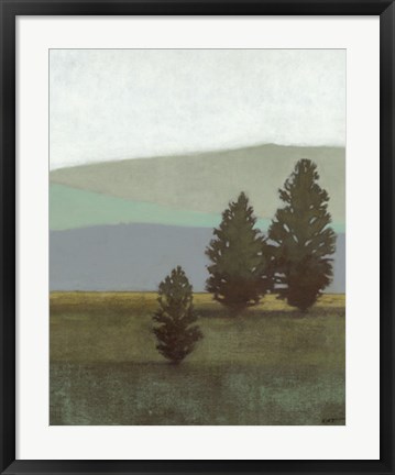 Framed Evergreen II Print