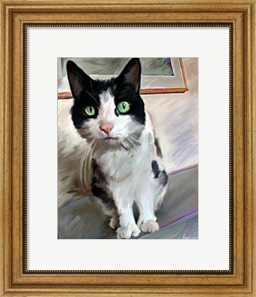 Framed Pretty Girl Cat Print