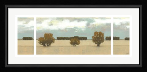 Framed Panoramic Scent of Rain Print