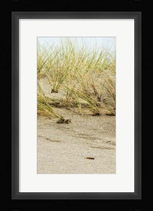 Framed Dunes II Print
