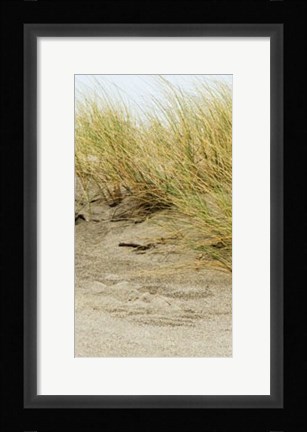 Framed Dunes III Print