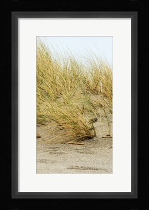 Framed Dunes IV Print